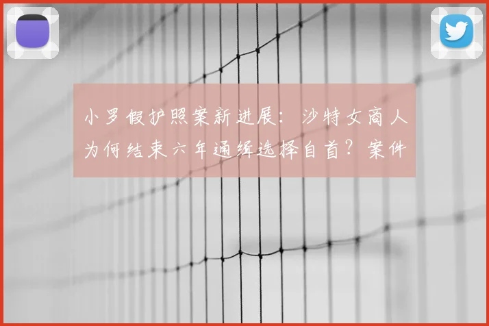 小罗假护照案新进展:沙特女商人为何结束六年通缉选择自首?案件详情解析