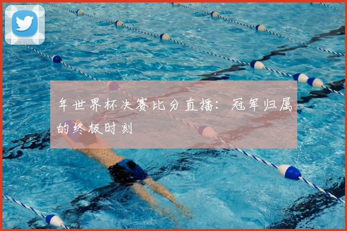 年世界杯决赛比分直播：冠军归属的终极时刻