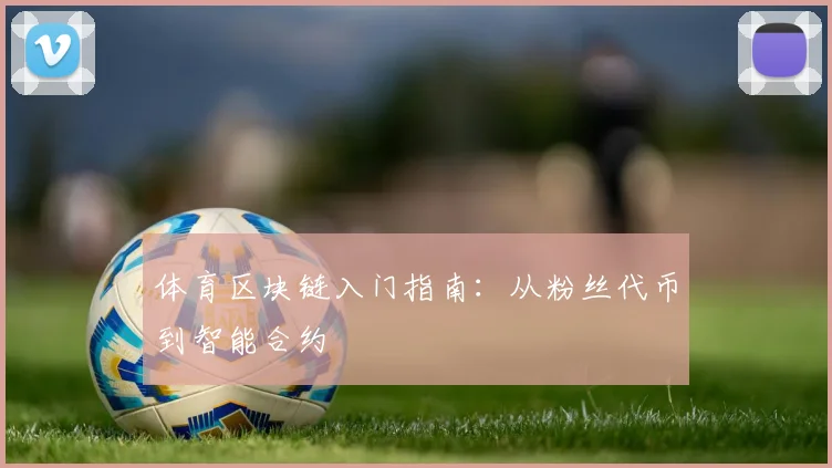 体育区块链入门指南：从粉丝代币到智能合约